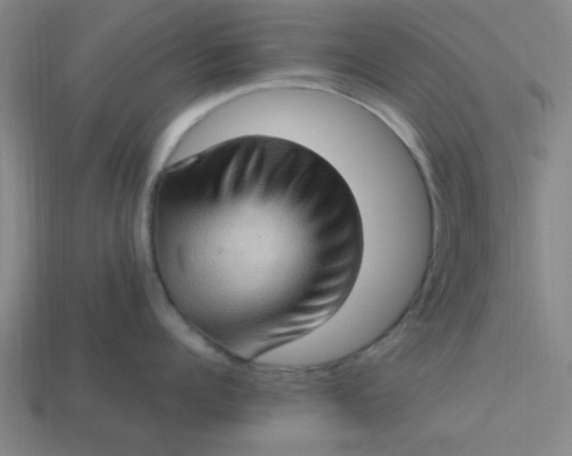 X0000113780960200910071221