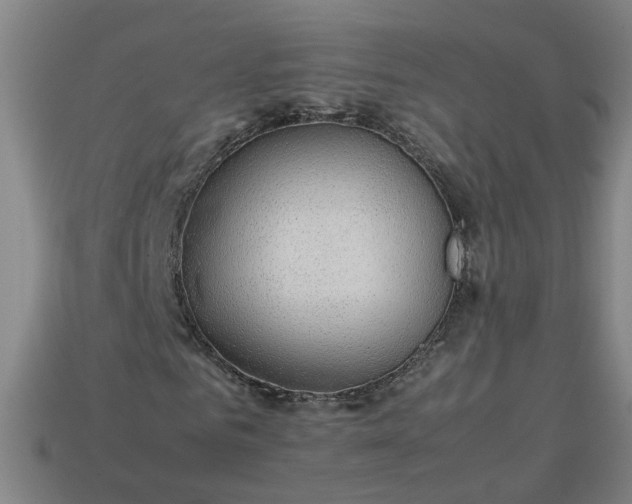 X0000113780961200910071220