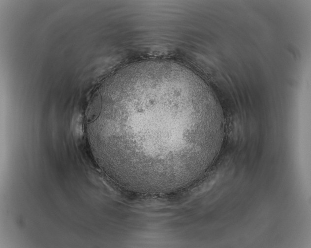 X0000113780962200910071220