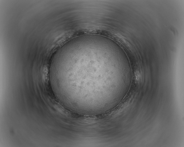 X0000113780964200910071220