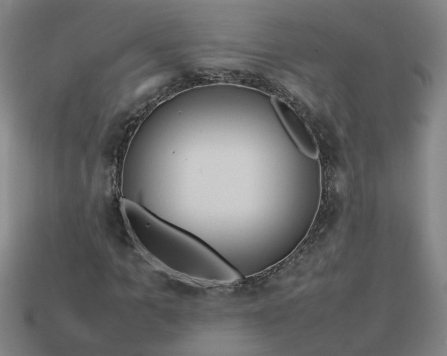 X0000113780965200910071220