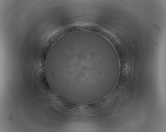 X0000113780966200910071220