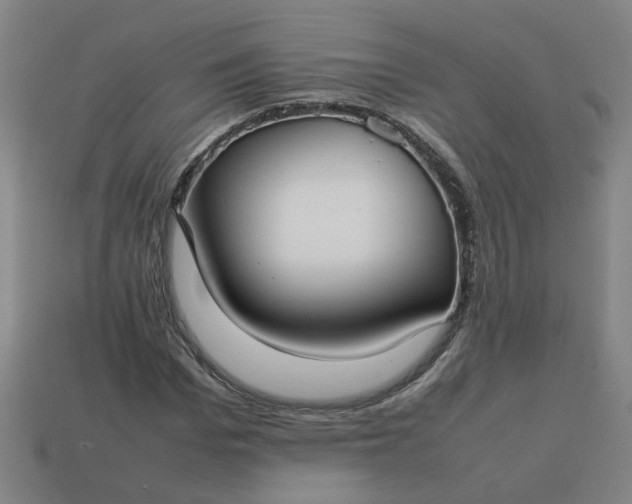 X0000113780969200910071220