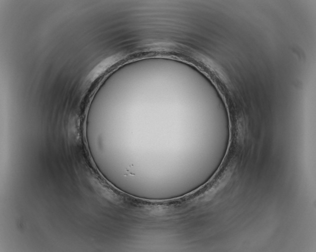 X0000113780970200910071220