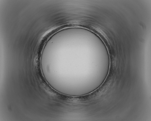 X0000113780971200910071220