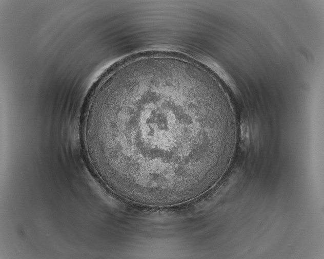 X0000113780972200910071220