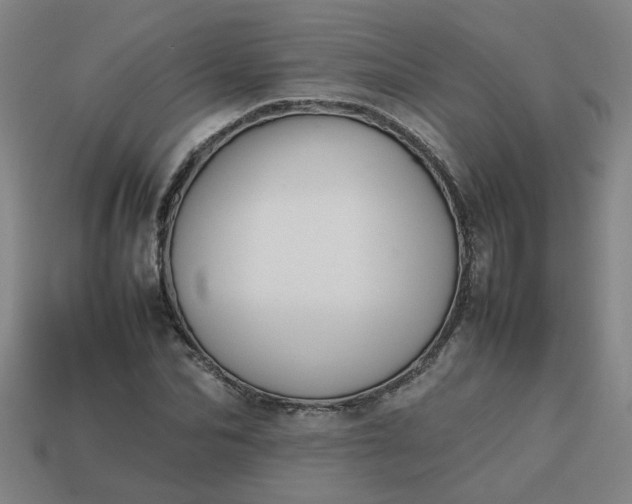 X0000113780974200910071220