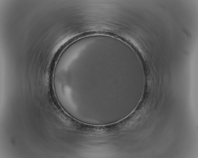 X0000113780975200910071220