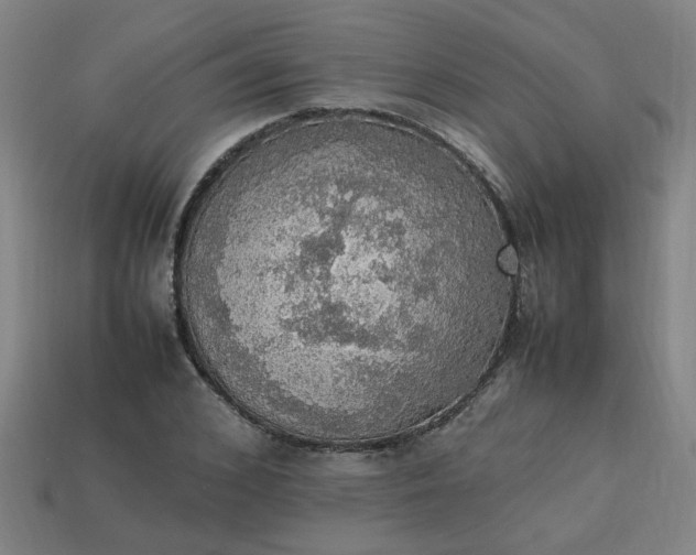 X0000113780976200910071220