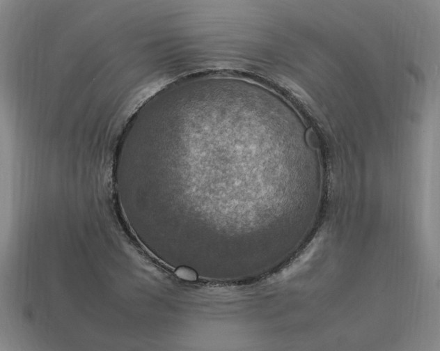 X0000113780977200910071220