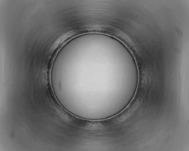 X0000113780978200910071220