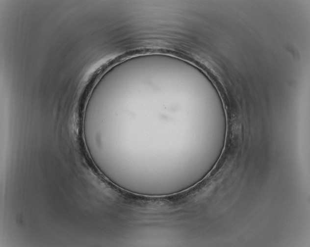 X0000113780979200910071220