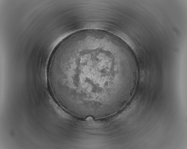 X0000113780980200910071220