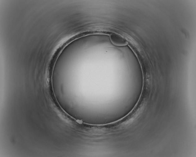 X0000113780981200910071220