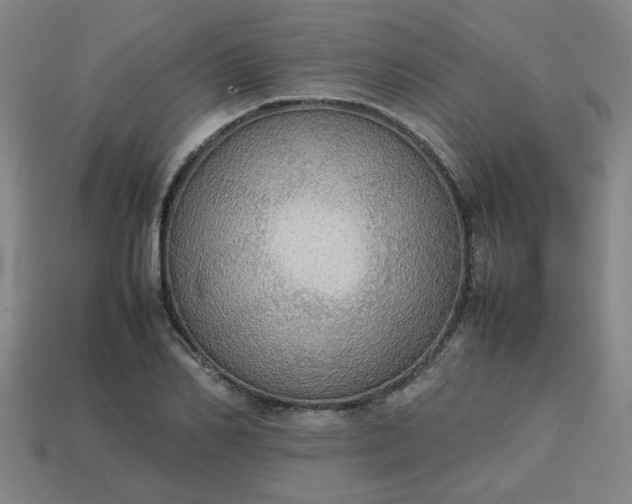 X0000113780982200910071220