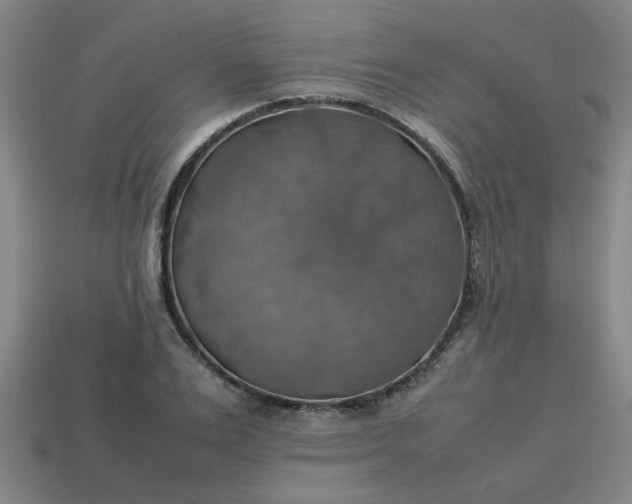 X0000113780983200910071220