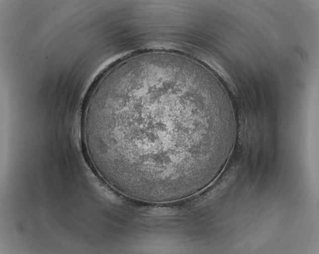 X0000113780984200910071220