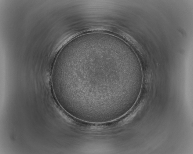 X0000113780985200910071220