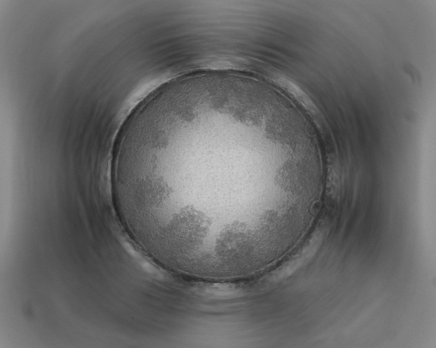 X0000113780986200910071220