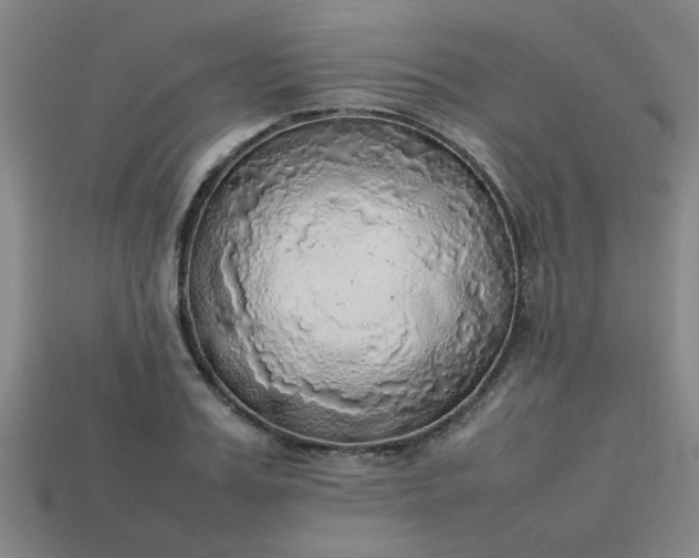 X0000113780987200910071220