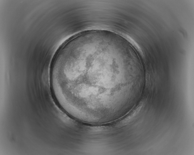 X0000113780988200910071220