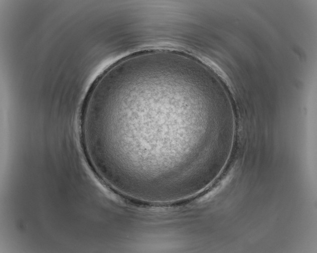 X0000113780989200910071220