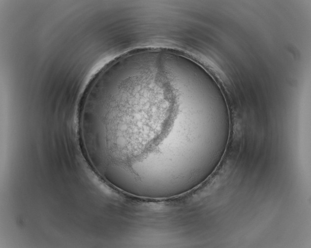 X0000113780990200910071220