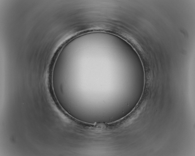 X0000113780991200910071220