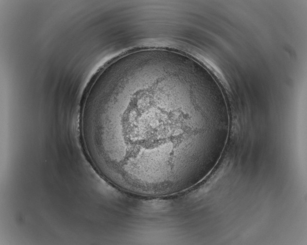 X0000113780992200910071220