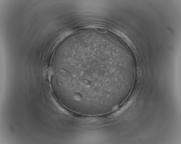 X0000113780993200910071220