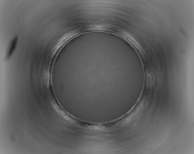 X0000113780994200910071220