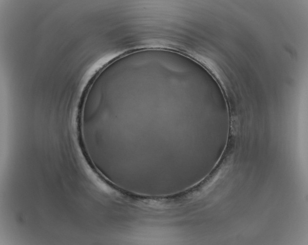 X0000113780995200910071220