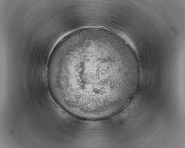 X0000113780996200910071220