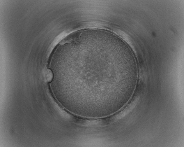 X0000113780997200910071220