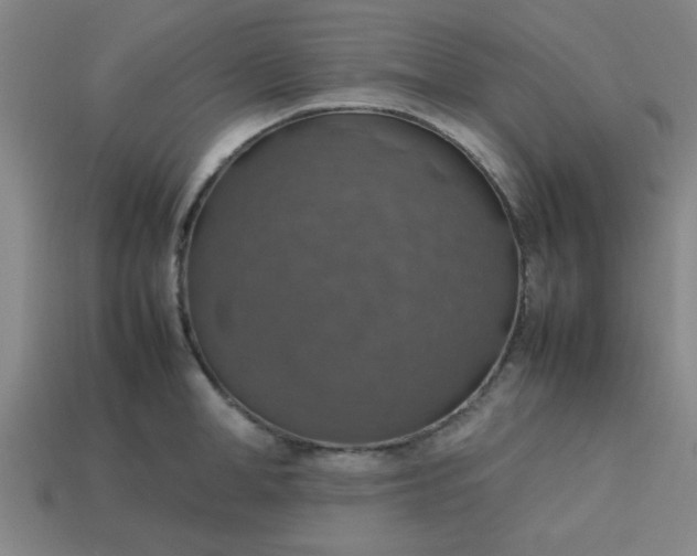 X0000113780998200910071220