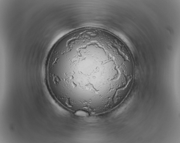 X0000113780999200910071220