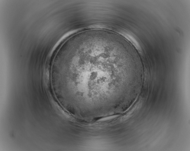 X0000113781000200910071220