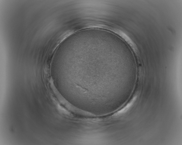 X0000113781001200910071220