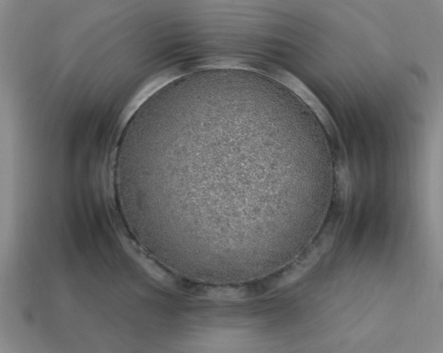 X0000113781002200910071220