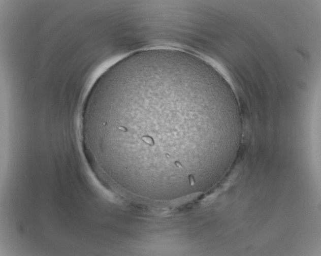 X0000113781003200910071220