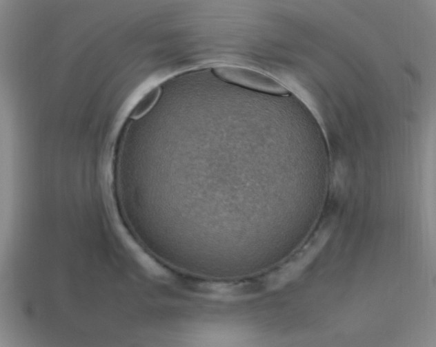 X0000113781005200910071220