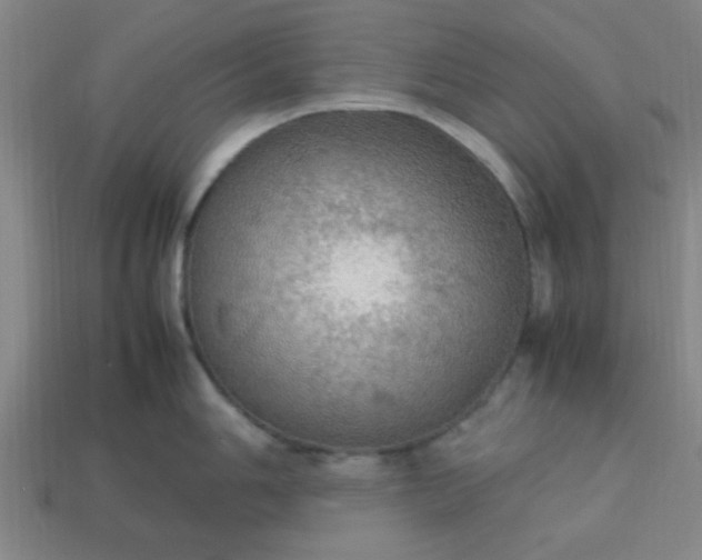 X0000113781006200910071220