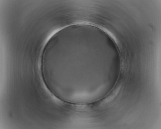 X0000113781007200910071220