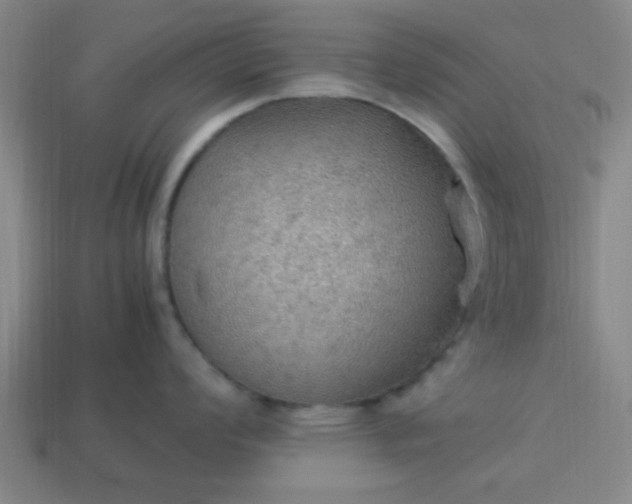 X0000113781008200910071220