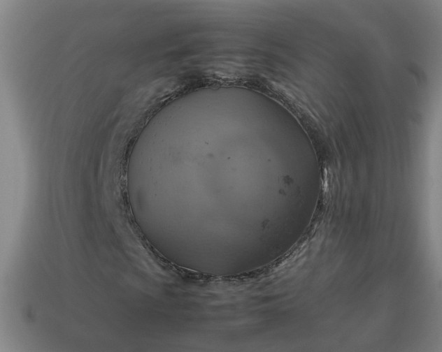 X0000113781009200910071219