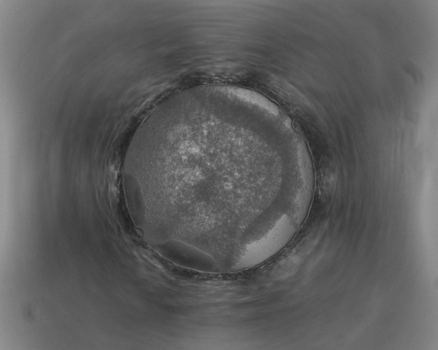 X0000113781010200910071219