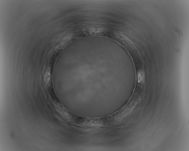 X0000113781011200910071219