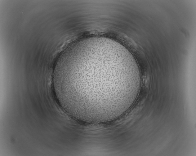 X0000113781012200910071219