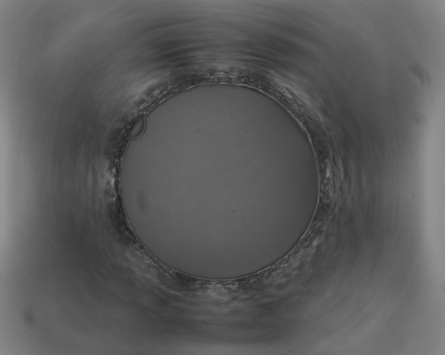 X0000113781013200910071219