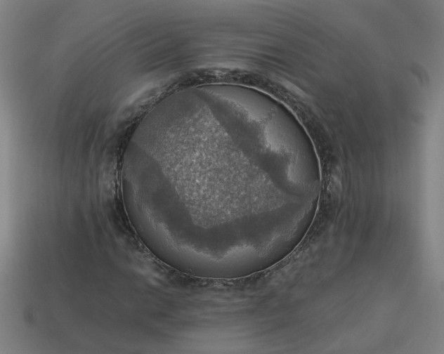 X0000113781014200910071219